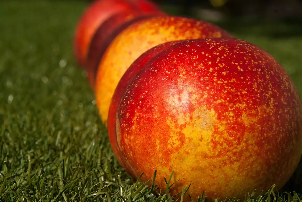 Blancheertechnieken voor fruit: perziken, tomaten en meer bereiden